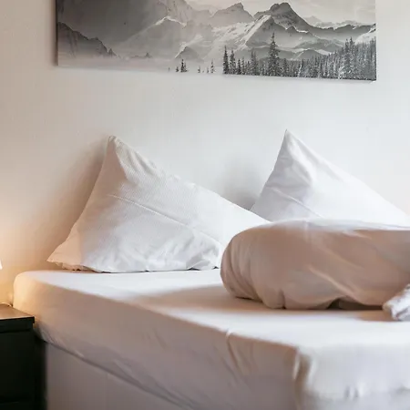 Gaisberg Alpin 蒂罗尔-基希贝格